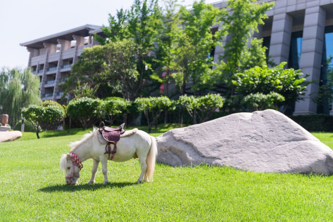 贝斯特 - 全球最奢华的游戏平台