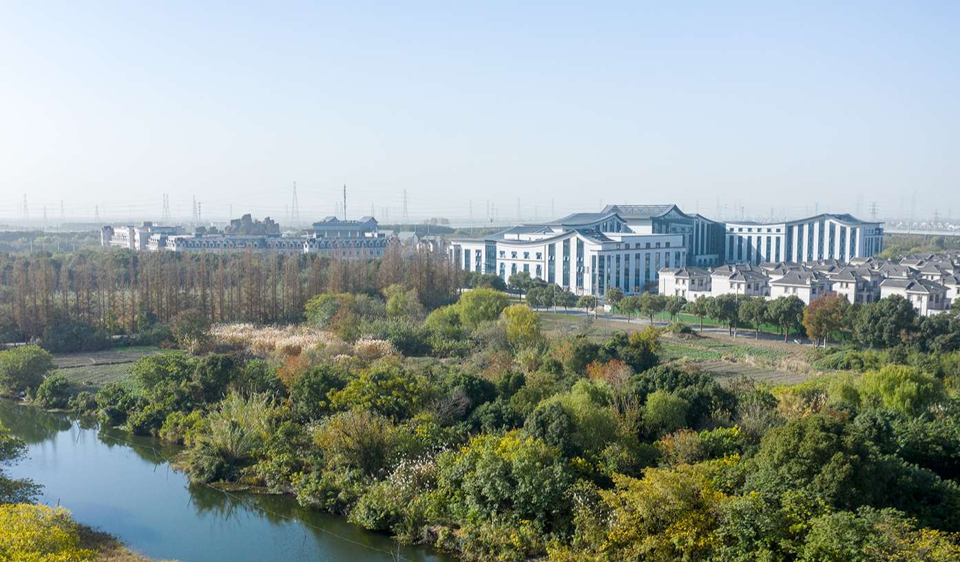 DJI0563.jpg
