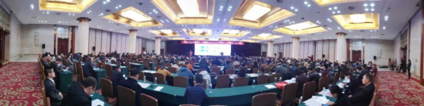 贝斯特 - 全球最奢华的游戏平台