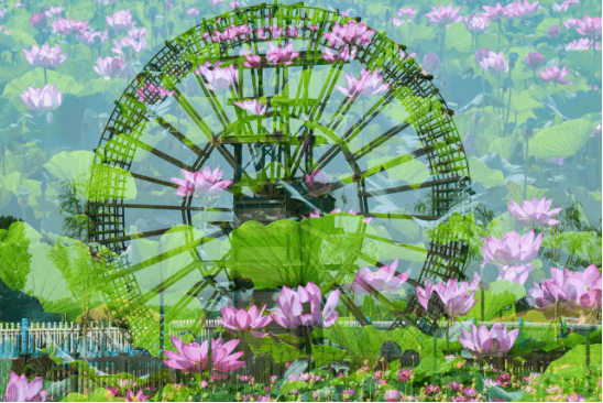 贝斯特 - 全球最奢华的游戏平台