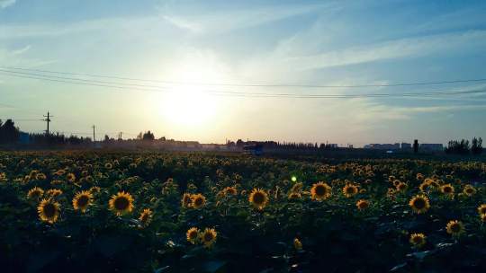 贝斯特 - 全球最奢华的游戏平台