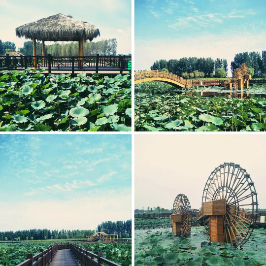 贝斯特 - 全球最奢华的游戏平台