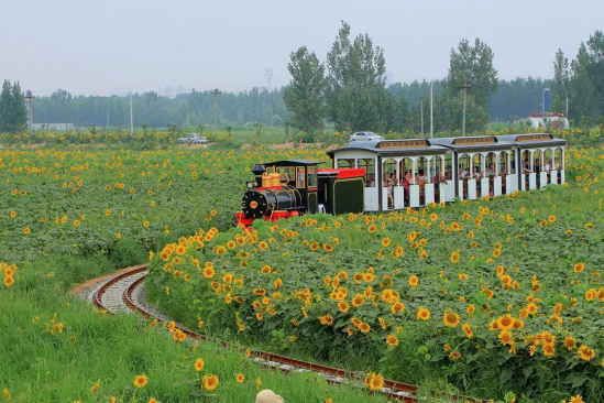 贝斯特 - 全球最奢华的游戏平台
