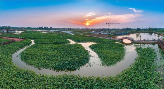 贝斯特 - 全球最奢华的游戏平台