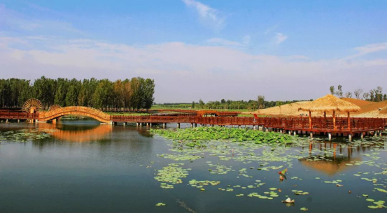 贝斯特 - 全球最奢华的游戏平台