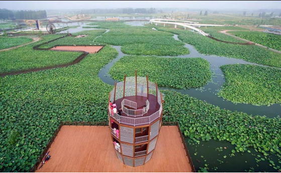 贝斯特 - 全球最奢华的游戏平台