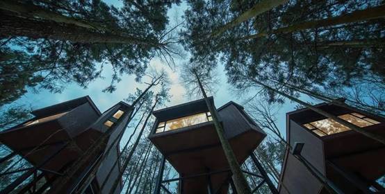 贝斯特 - 全球最奢华的游戏平台