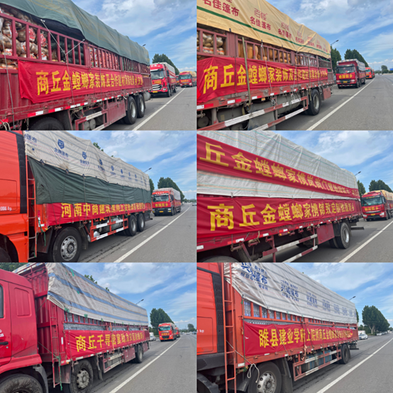 贝斯特 - 全球最奢华的游戏平台