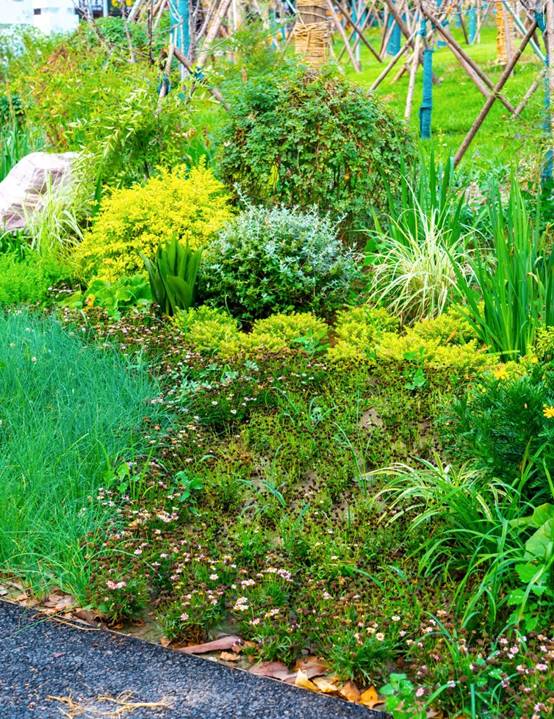 贝斯特 - 全球最奢华的游戏平台