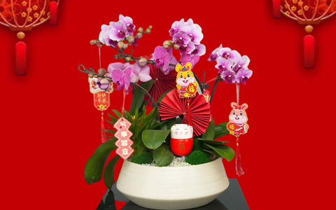 껨俪 | ca88´ۺ껨Ԥ