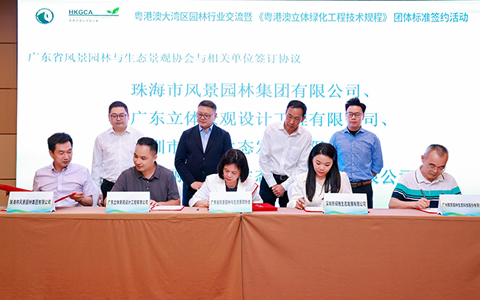 ca88ǩαࡶ۰̻չ̡׼