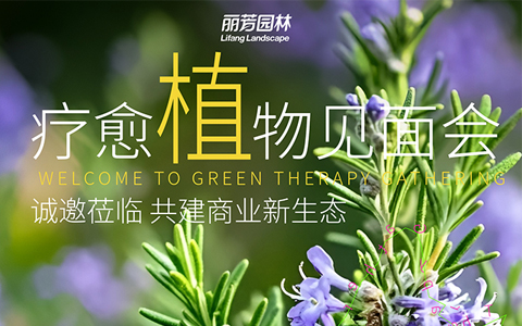 չԤ | ﲩԼca88ҵ̬